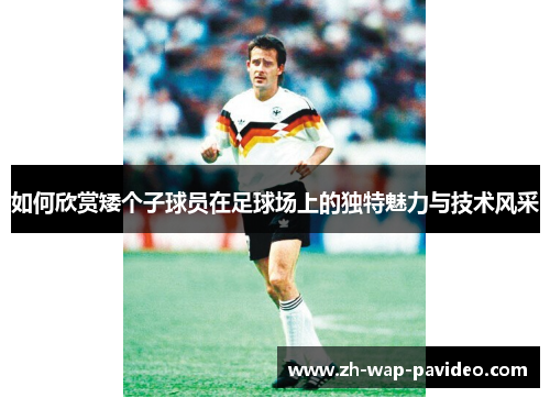 如何欣赏矮个子球员在足球场上的独特魅力与技术风采