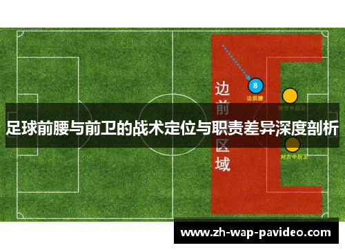 足球前腰与前卫的战术定位与职责差异深度剖析