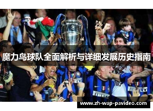 魔力鸟球队全面解析与详细发展历史指南 魔力鸟球队全面解析与详细发展历史指南