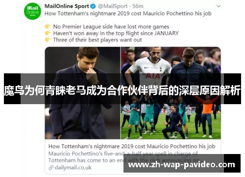 魔鸟为何青睐老马成为合作伙伴背后的深层原因解析 魔鸟为何青睐老马成为合作伙伴背后的深层原因解析