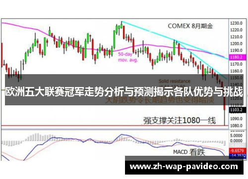 欧洲五大联赛冠军走势分析与预测揭示各队优势与挑战