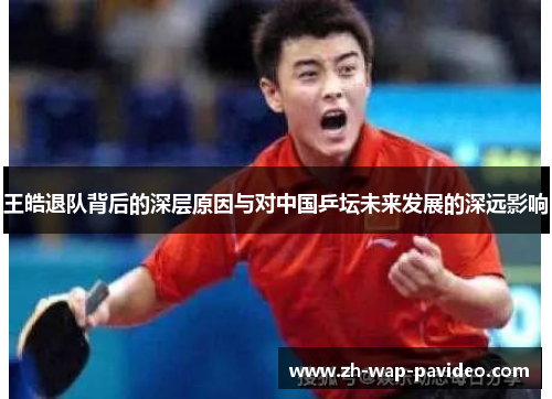 王皓退队背后的深层原因与对中国乒坛未来发展的深远影响 王皓退队背后的深层原因与对中国乒坛未来发展的深远影响