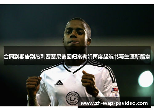 合同到期告别热刺塞塞尼翁回归富勒姆再度起航书写生涯新篇章