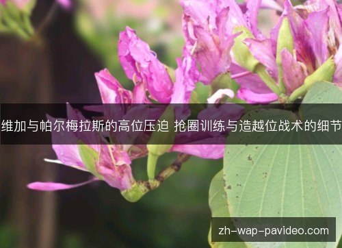 维加与帕尔梅拉斯的高位压迫 抢圈训练与造越位战术的细节 维加与帕尔梅拉斯的高位压迫 抢圈训练与造越位战术的细节